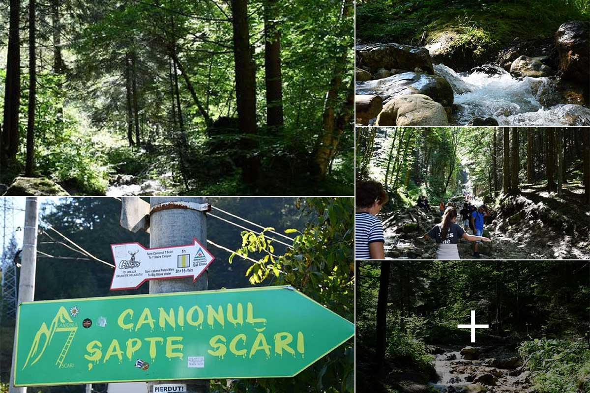 The way to the Canionul Sapte Scari | Brasov County